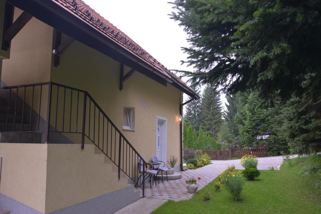 Dobrila Apartments Zlatibor Eksteriør billede