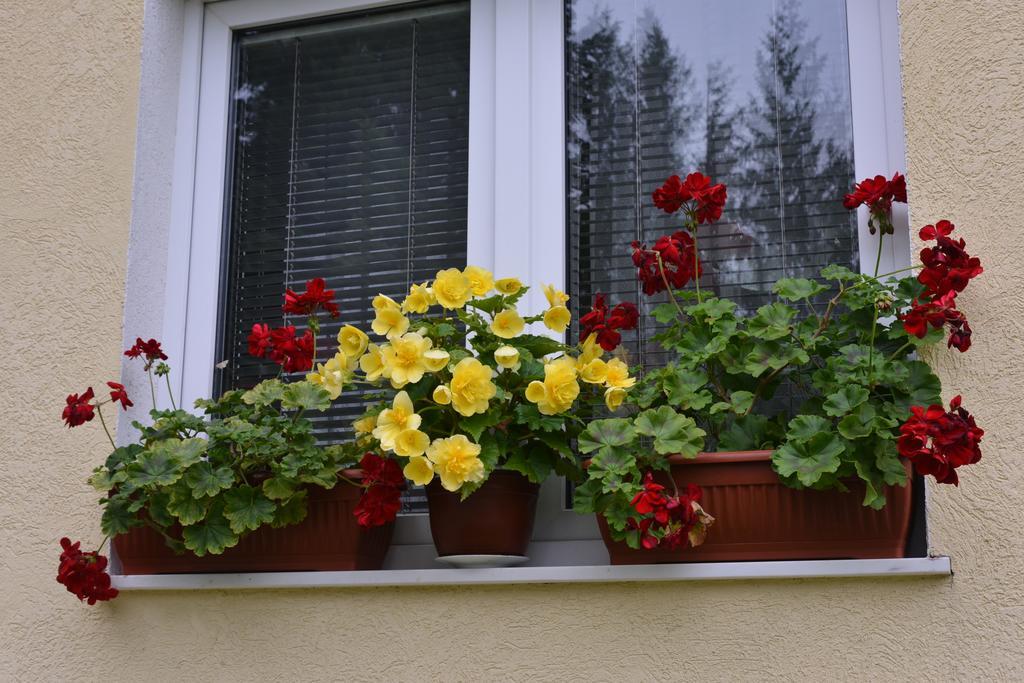 Dobrila Apartments Zlatibor Eksteriør billede