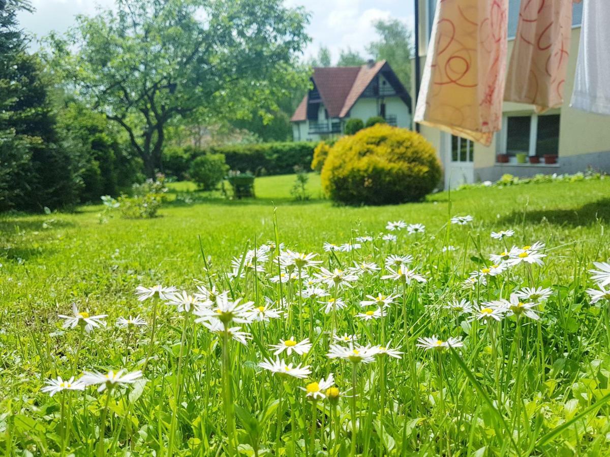 Dobrila Apartments Zlatibor Eksteriør billede